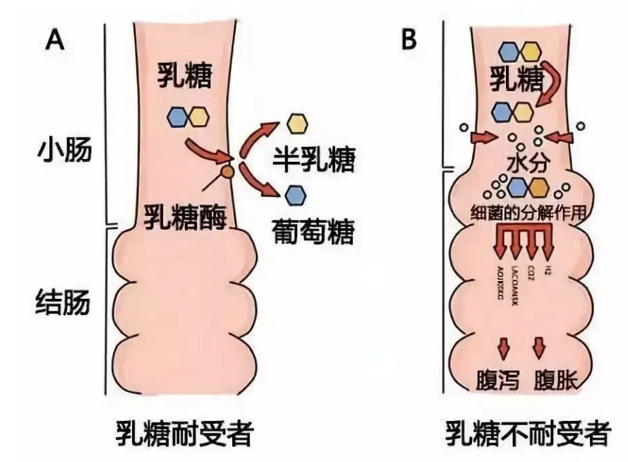 Screenshot 2021-11-30_09-54-09-285.png